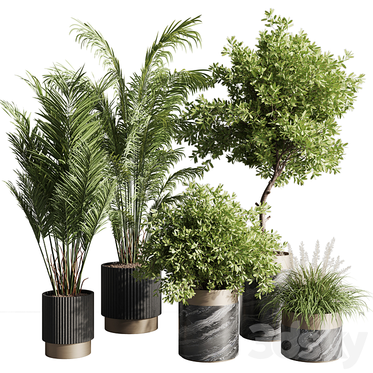 indoor plant set 57 3DS Max - thumbnail 1