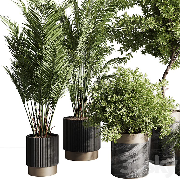 indoor plant set 57 3DS Max - thumbnail 2