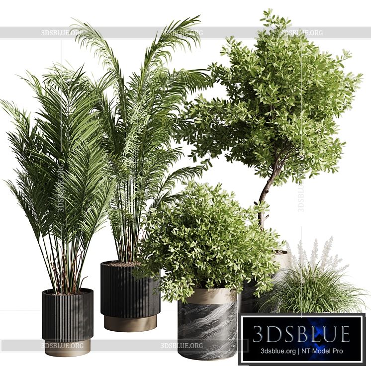 indoor plant set 57 3DS Max - thumbnail 3