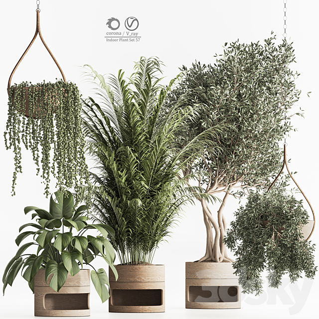 Indoor Plant Set 57 3DSMax File - thumbnail 1