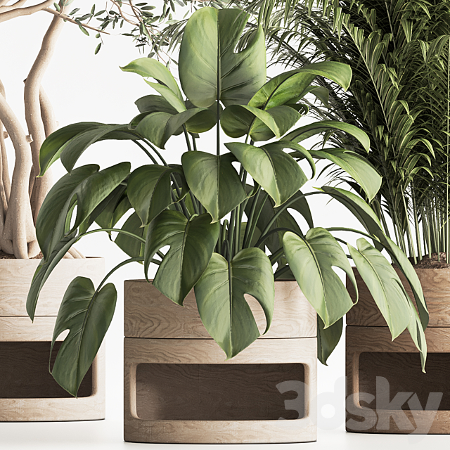 Indoor Plant Set 57 3DSMax File - thumbnail 5