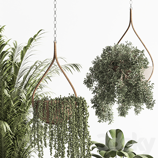 Indoor Plant Set 57 3DSMax File - thumbnail 6