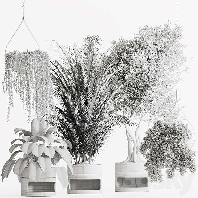 Indoor Plant Set 57 3DSMax File - thumbnail 7