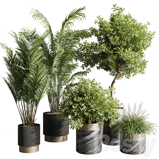 indoor plant set 57 3DSMax File - thumbnail 1