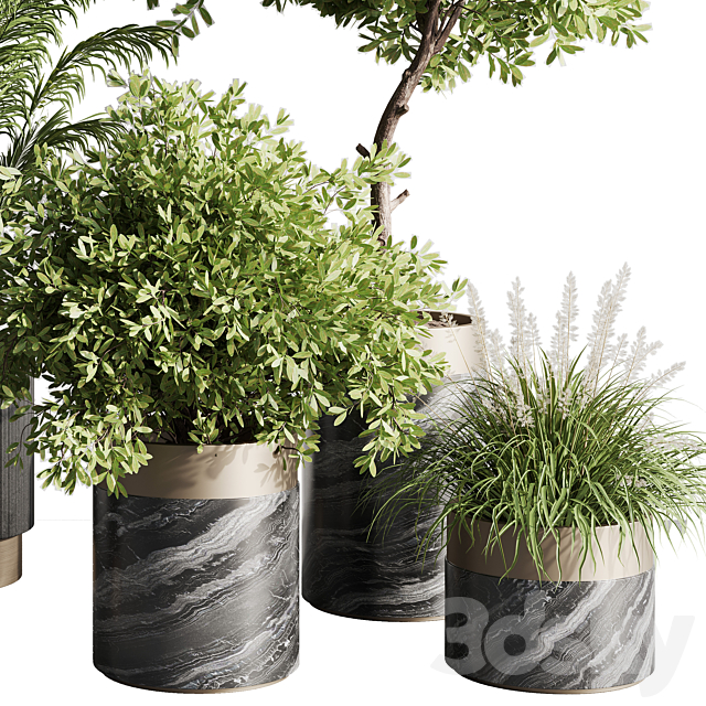 indoor plant set 57 3DSMax File - thumbnail 4