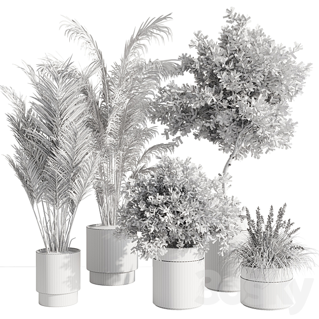 indoor plant set 57 3DSMax File - thumbnail 7