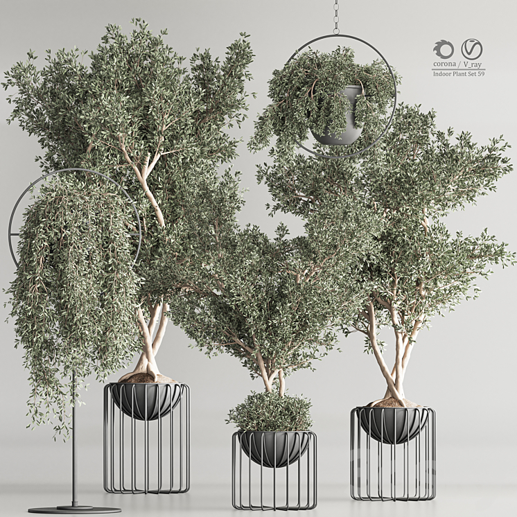 Indoor Plant Set 59 3DS Max Model - thumbnail 1