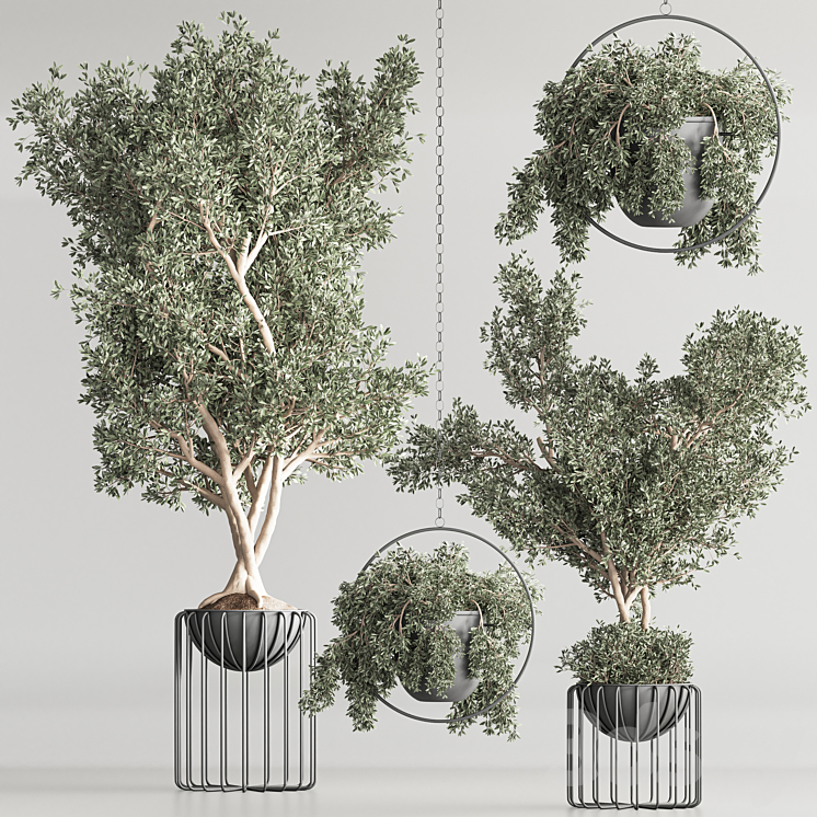 Indoor Plant Set 59 3DS Max Model - thumbnail 2