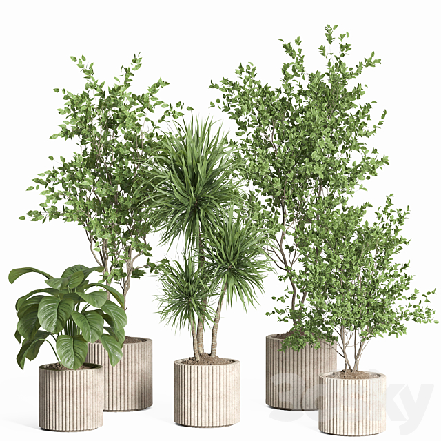 indoor plant set 59-Concrete pot 3ds Max - thumbnail 1