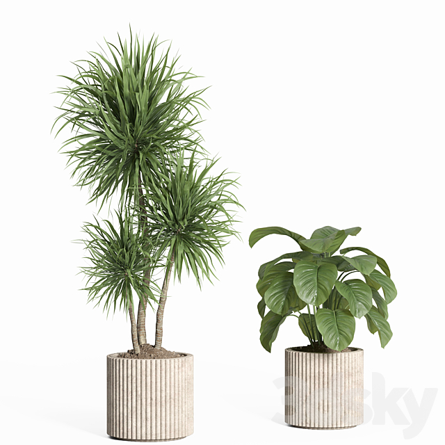 indoor plant set 59-Concrete pot 3ds Max - thumbnail 3