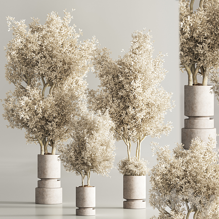 Indoor Plant Set 62 Dry Plants 3DS Max Model - thumbnail 2