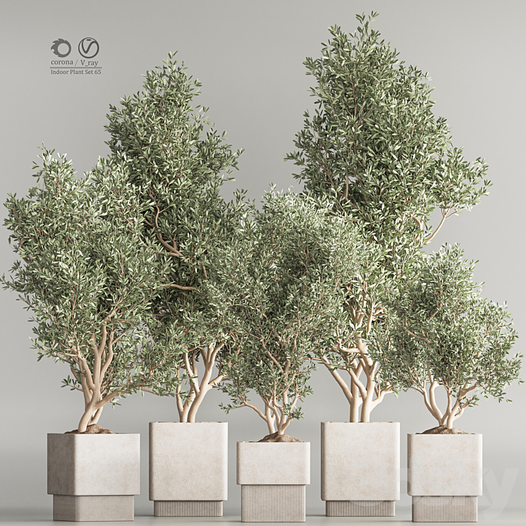 Indoor Plant Set 65 3DS Max Model - thumbnail 1