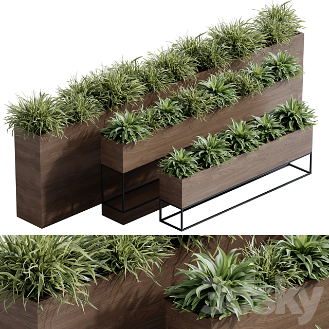 indoor plant set 65 3ds Max - thumbnail 1