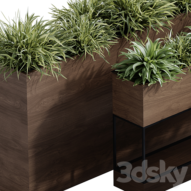 indoor plant set 65 3ds Max - thumbnail 2