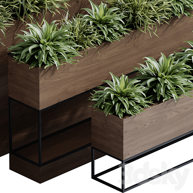 indoor plant set 65 3ds Max - thumbnail 3