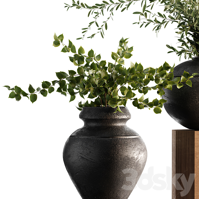 Indoor Plant Set 65 3DS Max Model - thumbnail 2