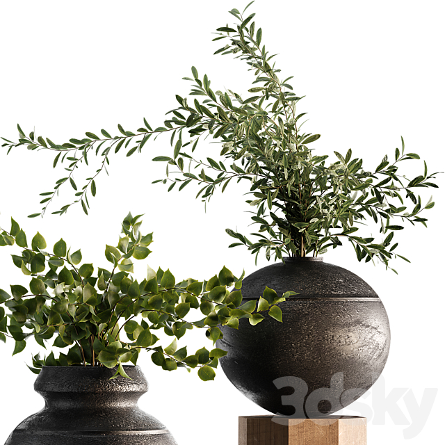 Indoor Plant Set 65 3DS Max Model - thumbnail 3