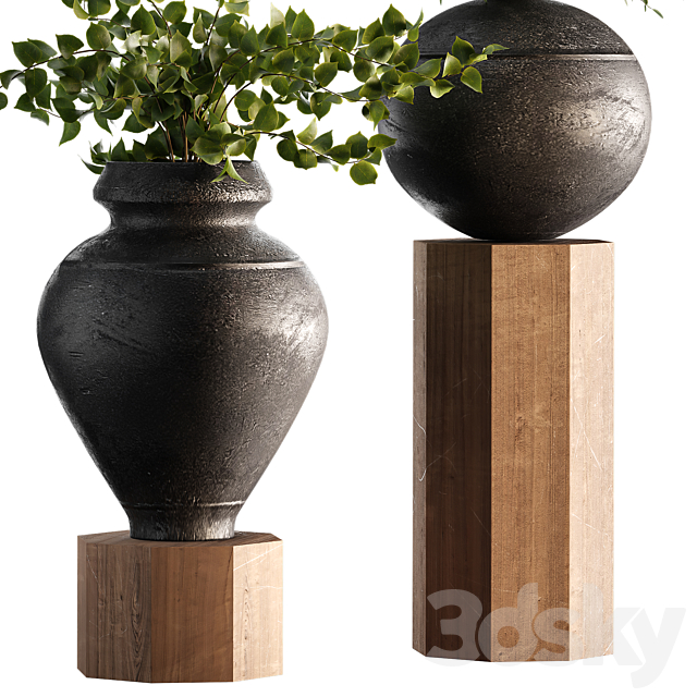 Indoor Plant Set 65 3DS Max Model - thumbnail 4