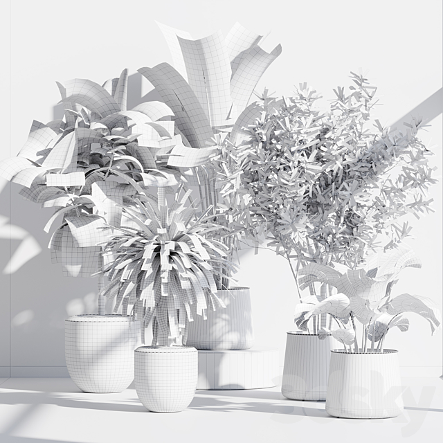 indoor plant set 66 3DS Max Model - thumbnail 7