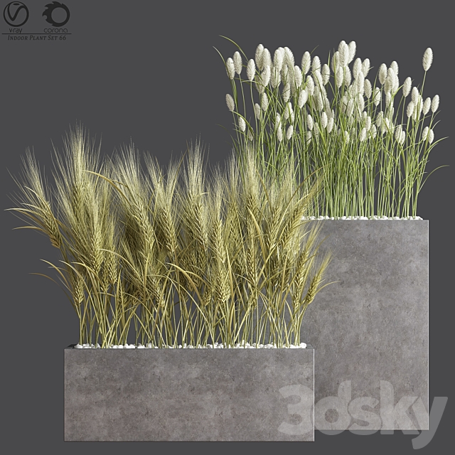 Indoor Plant Set 66 3DSMax File - thumbnail 1