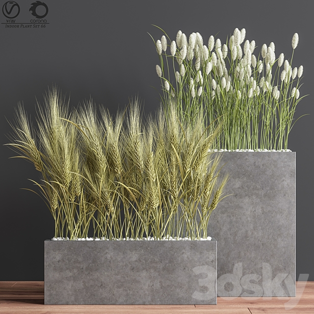 Indoor Plant Set 66 3DSMax File - thumbnail 2