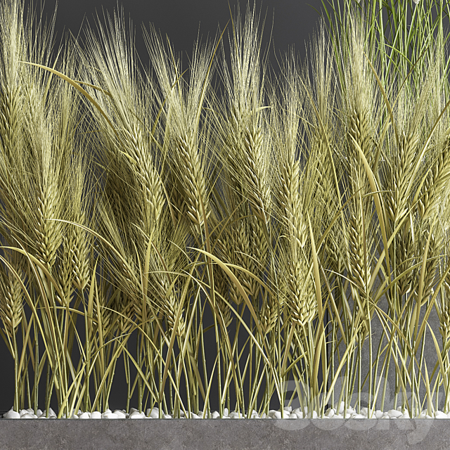 Indoor Plant Set 66 3DSMax File - thumbnail 4