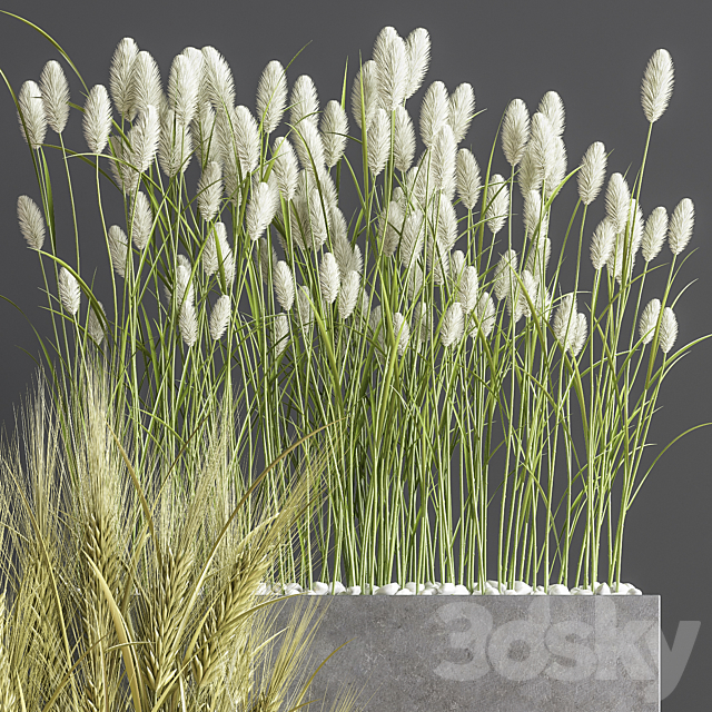 Indoor Plant Set 66 3DSMax File - thumbnail 5