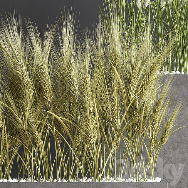 Indoor Plant Set 66 3DSMax File - thumbnail 6