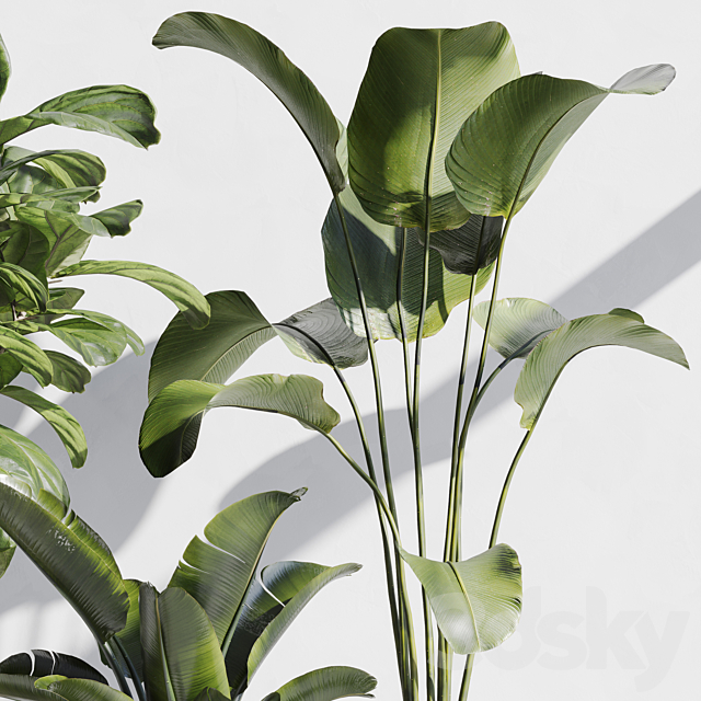 indoor plant set 67 3DS Max Model - thumbnail 4