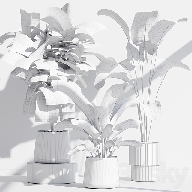 indoor plant set 67 3DS Max Model - thumbnail 7