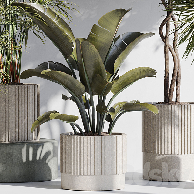 indoor plant set 69 3ds Max - thumbnail 2