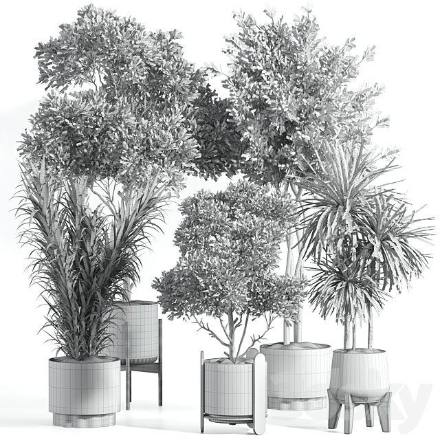 Indoor Plant Set 70 3ds Max - thumbnail 2