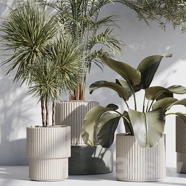 indoor plant set 71 3DS Max Model - thumbnail 3