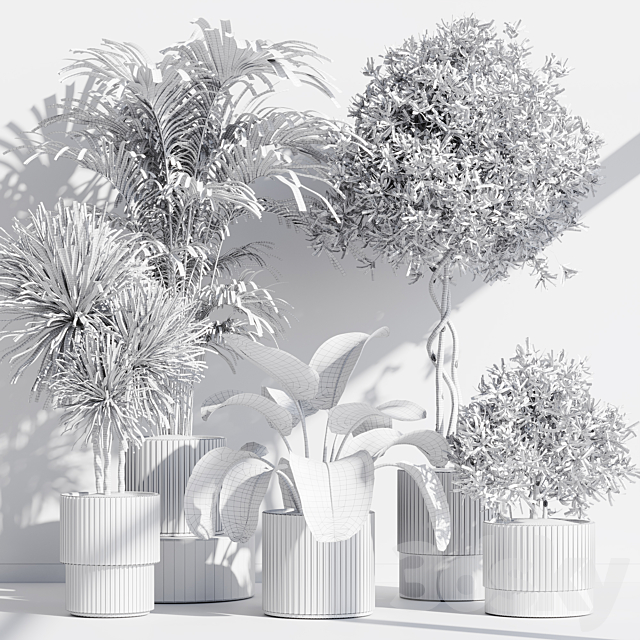 indoor plant set 71 3DS Max Model - thumbnail 7