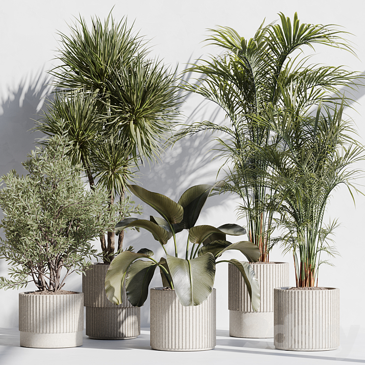 indoor plant set 72 3DS Max Model - thumbnail 1