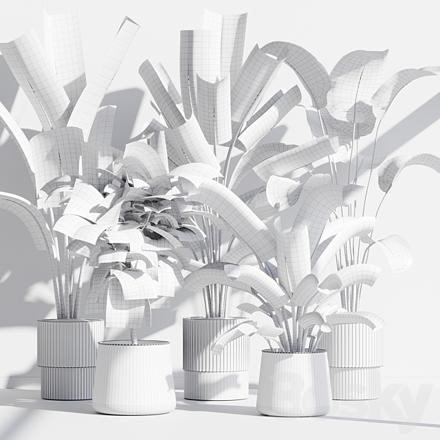 indoor plant set 75 3DS Max Model - thumbnail 7