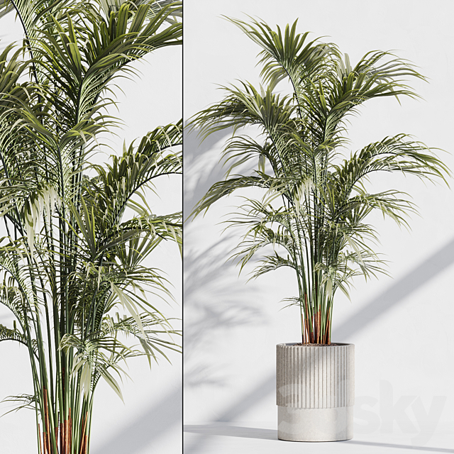 indoor plant set 76 3ds Max - thumbnail 1