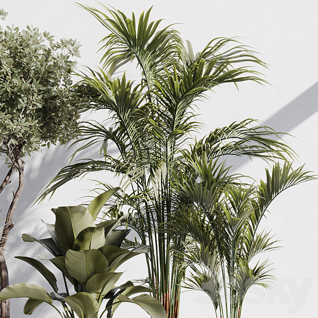 indoor plant set 78 3DS Max Model - thumbnail 5