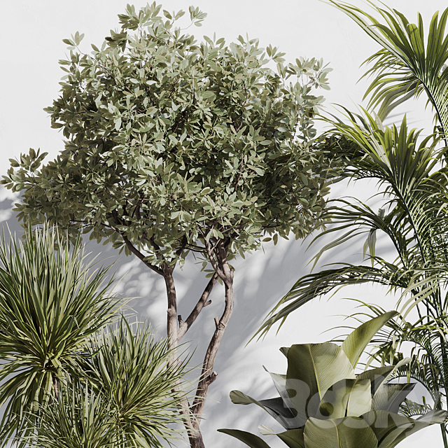 indoor plant set 78 3DS Max Model - thumbnail 6