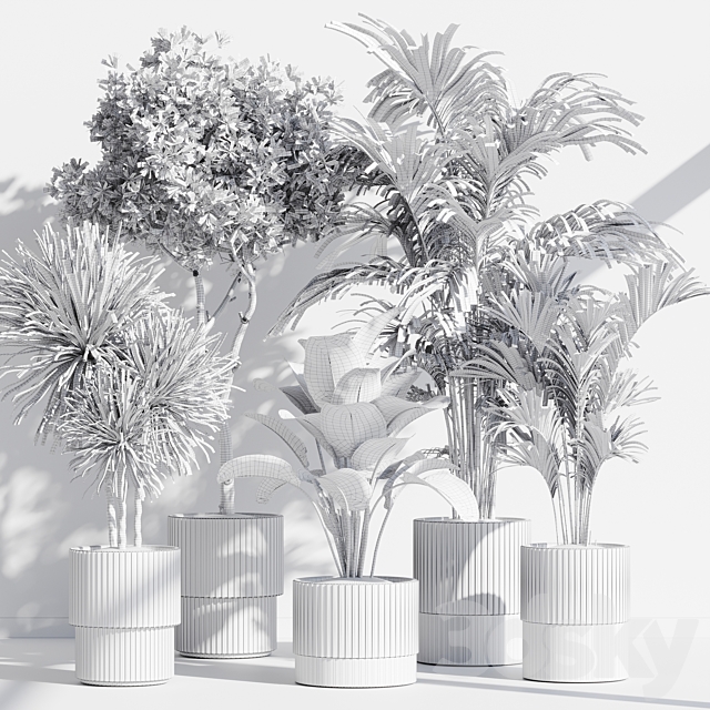 indoor plant set 78 3DS Max Model - thumbnail 7