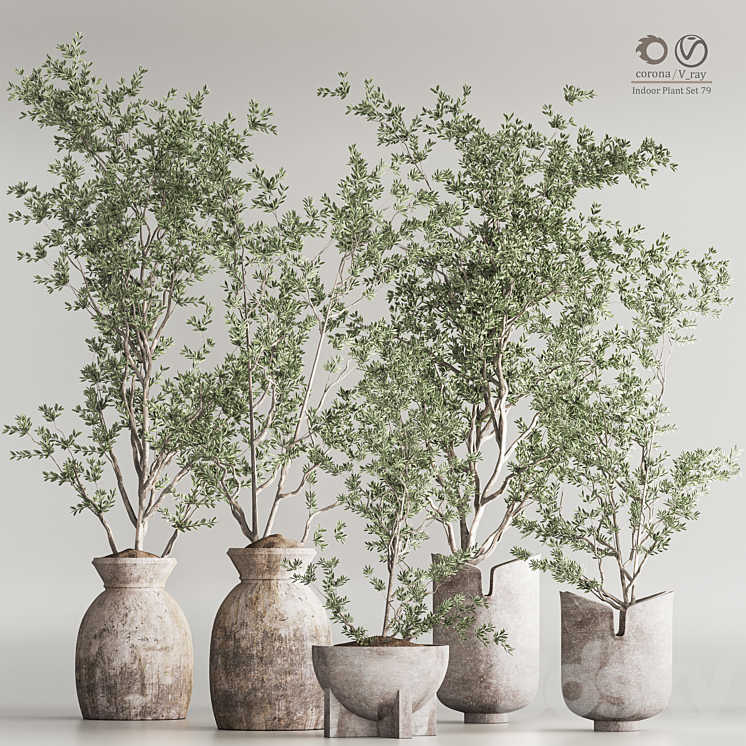 Indoor Plant Set 79 3DS Max - thumbnail 1