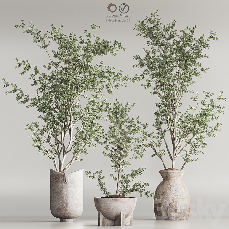 Indoor Plant Set 79 3DS Max - thumbnail 2