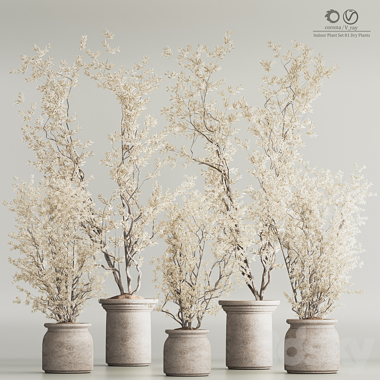 Indoor Plant Set 81 Dry Plants 3DS Max - thumbnail 1