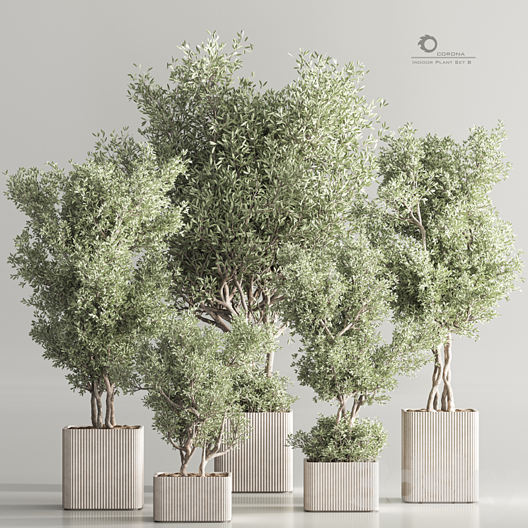 Indoor Plant Set 82 3DS Max - thumbnail 1