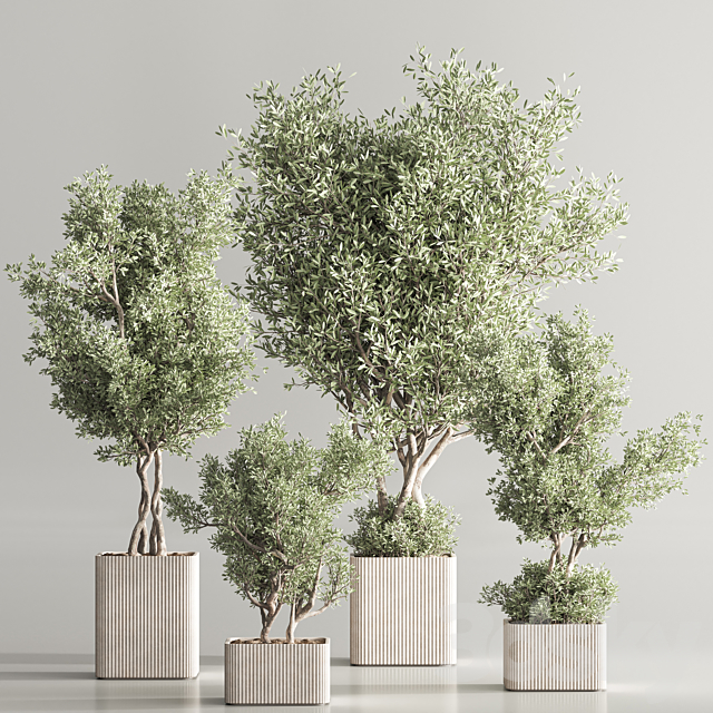 Indoor Plant Set 82 3DS Max Model - thumbnail 3