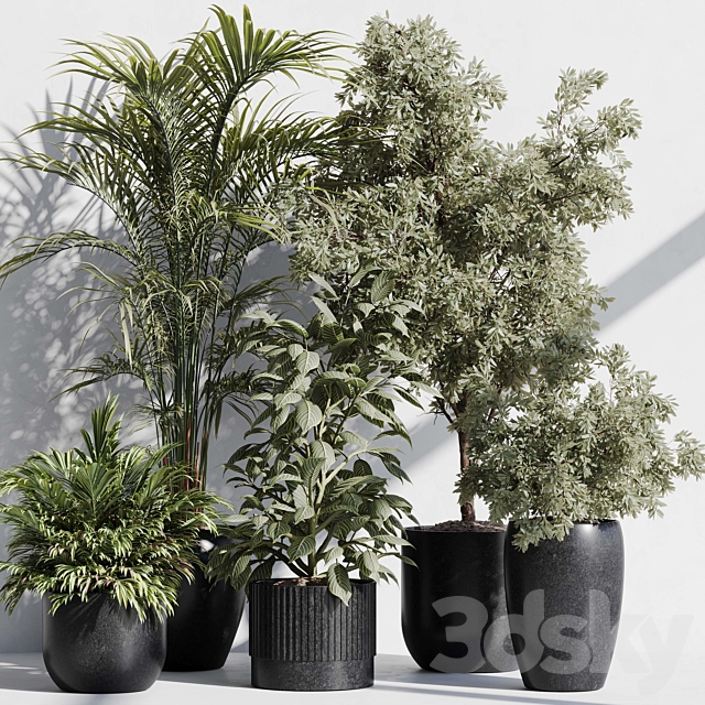 indoor plant set 85 3ds Max - thumbnail 1