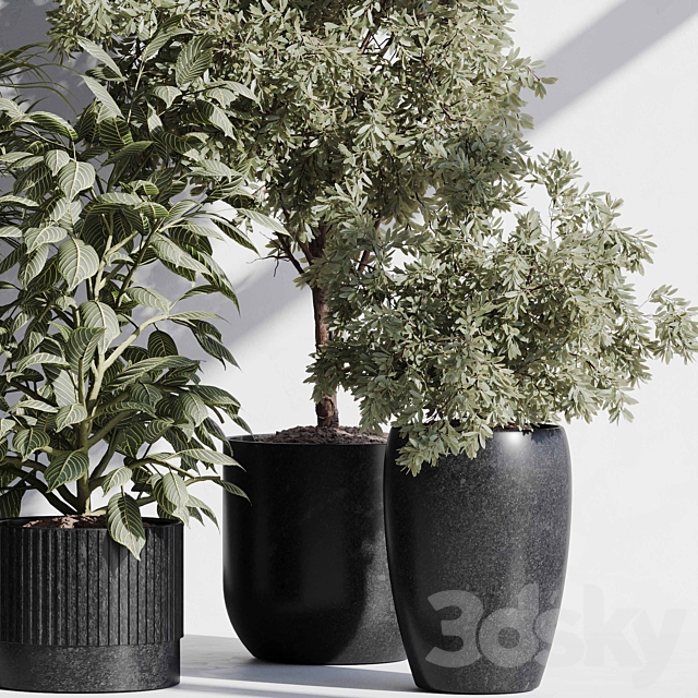 indoor plant set 85 3ds Max - thumbnail 2