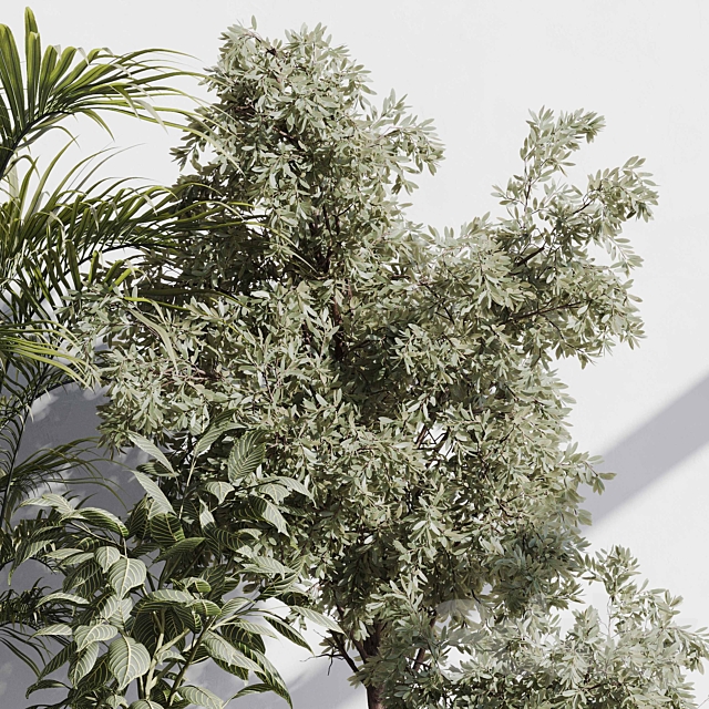 indoor plant set 85 3ds Max - thumbnail 3