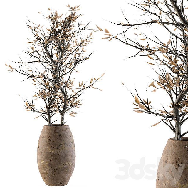 indoor Plant Set 85 – Dried Plant 3DSMax File - thumbnail 1