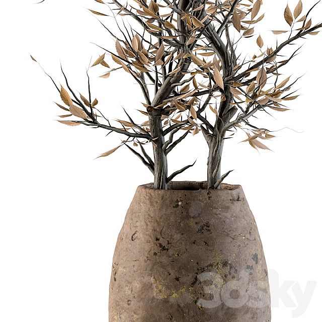 indoor Plant Set 85 – Dried Plant 3DSMax File - thumbnail 2